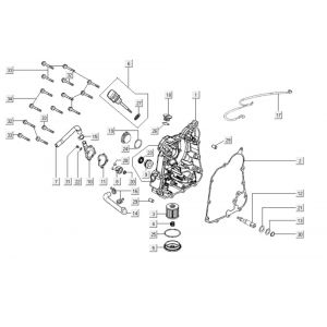Carter - Peilstok - Oliefilter Kymco Downtown 300i wit