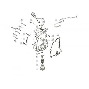 Carter - Peilstok - Oliefilter Kymco Like 200i Wit