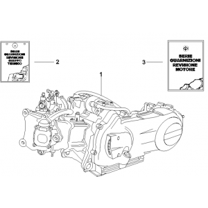 Motorblok compleet Vespa GTS 250 ie 2005-2009 (met ABS)