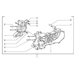 Carter Piaggio Zip RST 50 2-takt AC