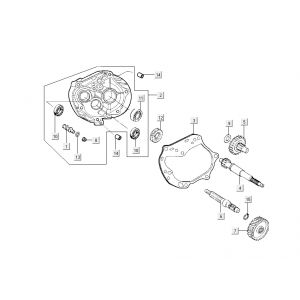 Vertanding - Overbrenging Kymco Sento 50 4-takt Spring Wit