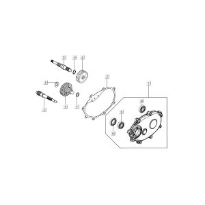 Vertanding - Overbrenging Kymco New Sento 50i 4-takt