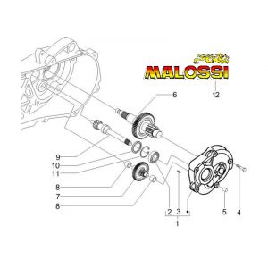 Vertanding - Overbrenging Piaggio Zip 2000 4-takt AC