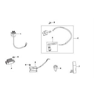 Elektrische delen Berini Speedy 4-takt