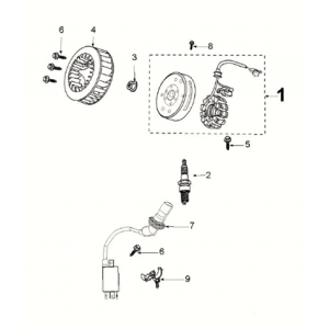 Ontsteking - Stator - Vliegwiel - Bobine - Pick up Peugeot Kisbee 4-takt Euro 5