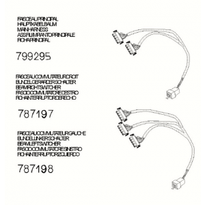 Harness - connector Peugeot Django 4-takt E5