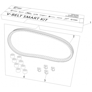 Kit v-snaar - Variateurrollen Piaggio Beverly 350 Sport Touring Euro 3 2013-2014