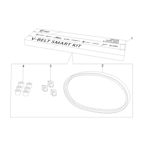 Kit v-snaar - Variateurrollen Piaggio Typhoon 50 2-takt Euro 3 2011