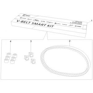 Kit v-snaar - Variateurrollen Vespa GTS 250 ie 2005-2009 (met ABS)