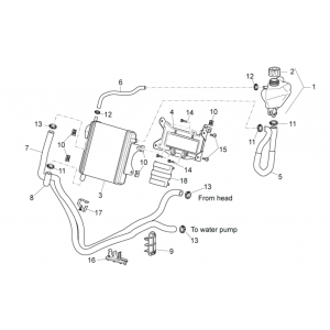 Radiateur - Koelslangen - Koelvloeistoftank Aprilia SR 50 LC (injectie en carburateur) 2004-2009