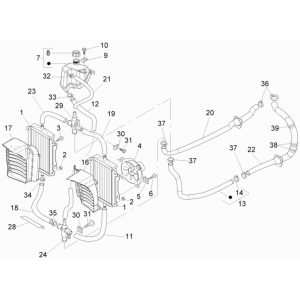 Radiateur - Koelslangen - Koelvloeistoftank Vespa GTS 250 ie 2005-2016 (zonder ABS)