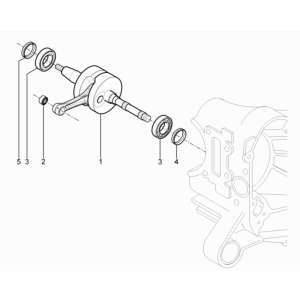 Krukas Piaggio Typhoon 50 2-takt Euro 3 2011