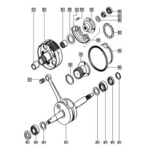 Krukas Tomos QUADRO E-START (25-45KMH) (K8-L0)