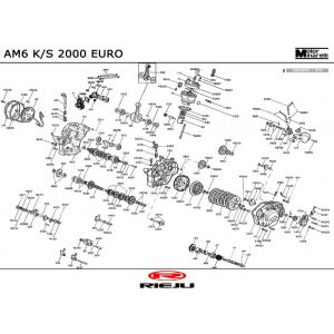 Motorblok in delen Rieju RR castrol 2001 2-takt