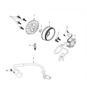 Ontsteking - Stator - Vliegwiel - Bobine Peugeot Tweet 50 4-takt AC