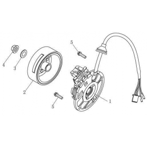Ontsteking - Stator - Vliegwiel AGM Venom wit