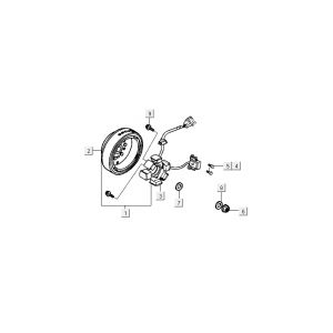 Ontsteking - Stator - Vliegwiel Kymco Activ 50 4-takt rood-zwart
