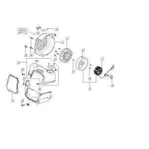Ontsteking - Stator - Vliegwiel Kymco Carry 4-takt wit
