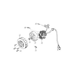 Ontsteking - Stator - Vliegwiel Kymco Dink AC 2-takt Zilver