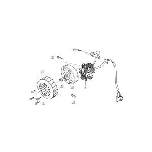 Ontsteking - Stator - Vliegwiel Kymco Dink 50 2-takt LC zilver