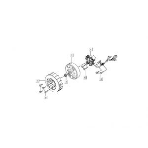 Ontsteking - Stator - Vliegwiel Kymco DJ 2-takt Zilver