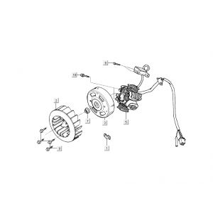 Ontsteking - Stator - Vliegwiel Kymco Grand Dink 2-takt Zilver