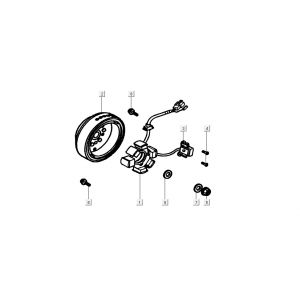 Ontsteking - Stator - Vliegwiel Kymco K-Pipe 4-takt Wit