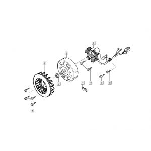 Ontsteking - Stator - Vliegwiel Kymco People 50 2-takt blauw