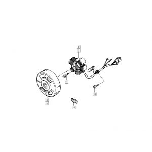 Ontsteking - Stator - Vliegwiel Kymco Super9 2-takt nieuw model zilver