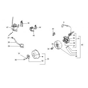 Ontsteking - Stator - Vliegwiel Puch Maxi