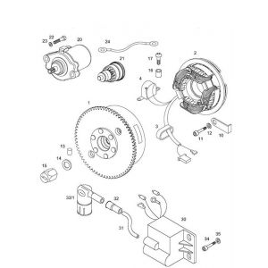 Ontsteking - Stator - Vliegwiel Tomos Flexer Ex 50 2-takt Elektrische start