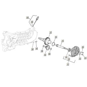 Vertanding - Overbrenging Aprilia Mojito Custom 50 2-takt (Piaggio motor) 2004-2010