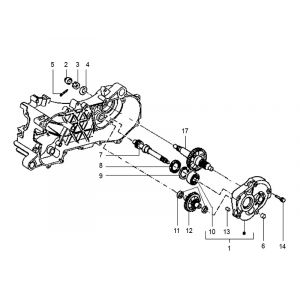 Vertanding - Overbrenging Gilera Runner 50 2-takt LC 1998-2005