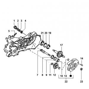 Vertanding - Overbrenging Piaggio Typhoon 50 2-takt AC 1998-2005