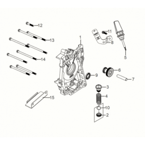 R. crank case cover Sym Symphony ST 50 E5