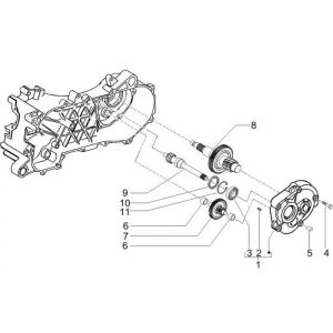 Vertanding - Overbrenging Vespa Primavera 50 2-takt AC