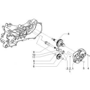Vertanding - Overbrenging Piaggio NRG Power DD 50 2-takt LC 2007-2017