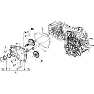 Vertanding - Overbrenging Vespa GTS 250 ie 2005-2016 (zonder ABS)