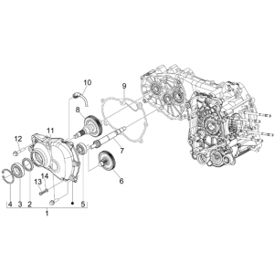 Vertanding - Overbrenging Vespa GTS 300 ie 2008-2016 (met en zonder ABS)