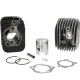 Tweedekans Cilinder met cilinderkop -Polini 63 cc Racing diameter 43mm- Piaggio Ciao/Bravo/Boxer (pistonpen = diameter  10mm) 140.0065/10R