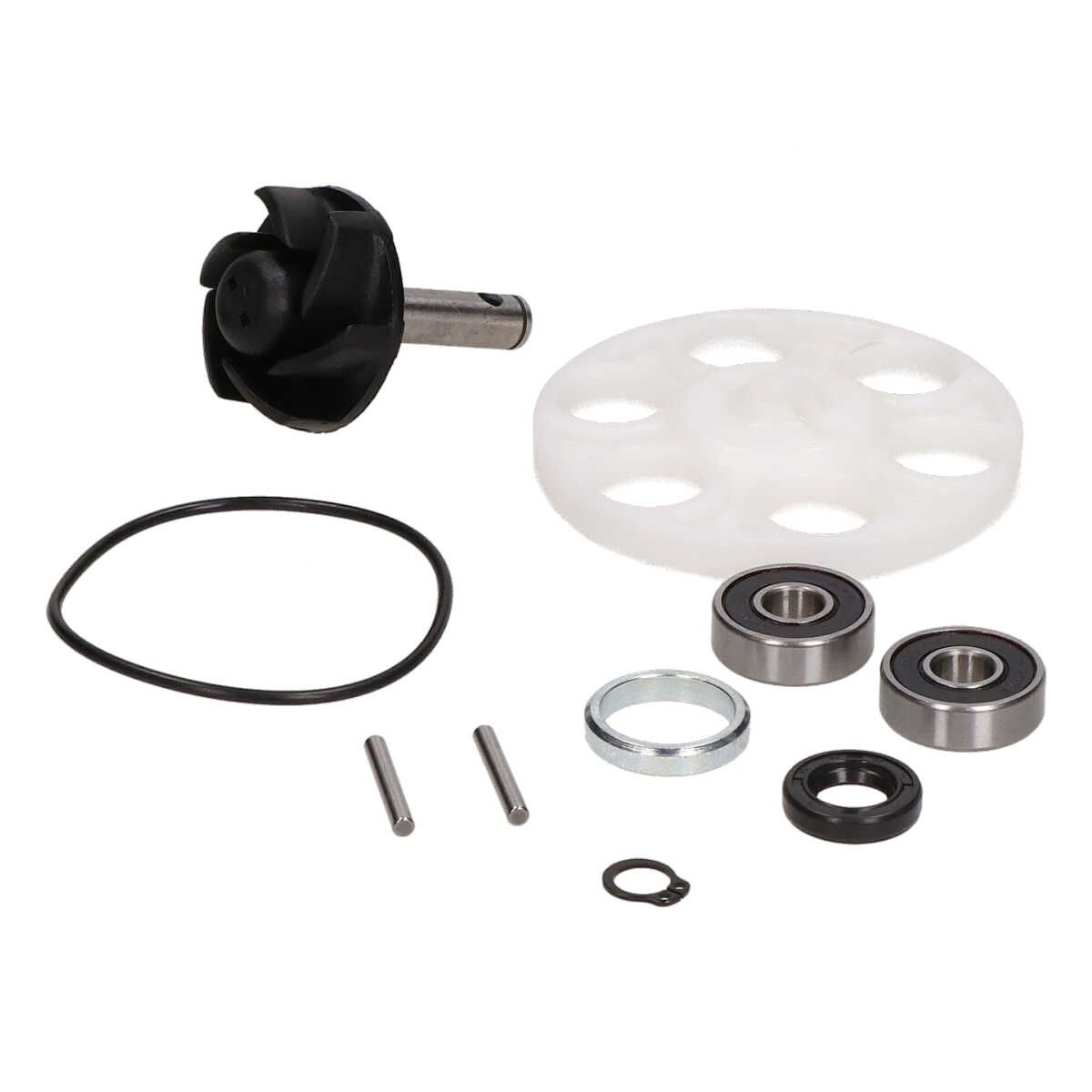 Revisieset waterpomp + schoep + lagers minarelli horizontaal DMP B-kwaliteit